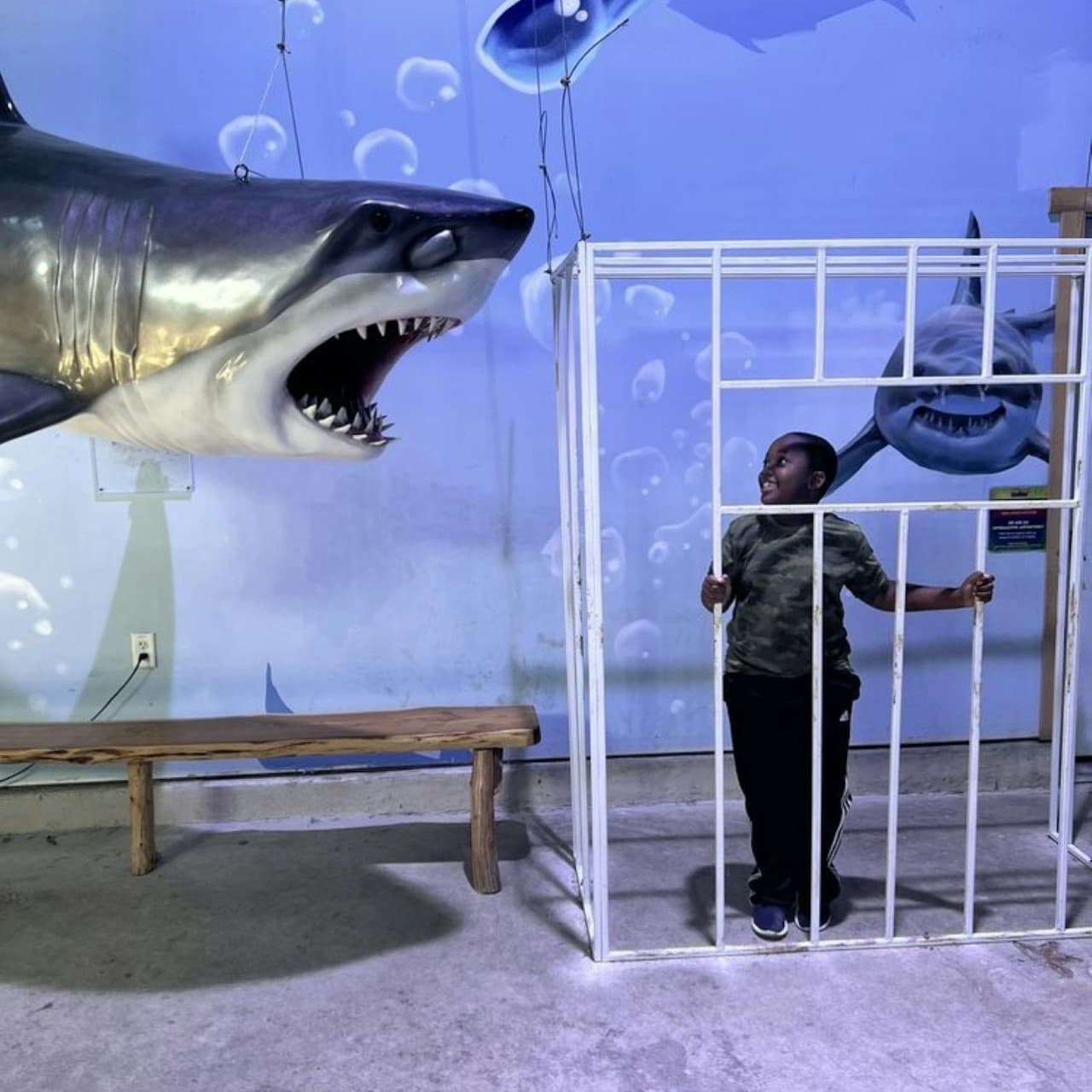 Houston Interactive Aquarium & Animal Preserve Ticket - სურათი 6