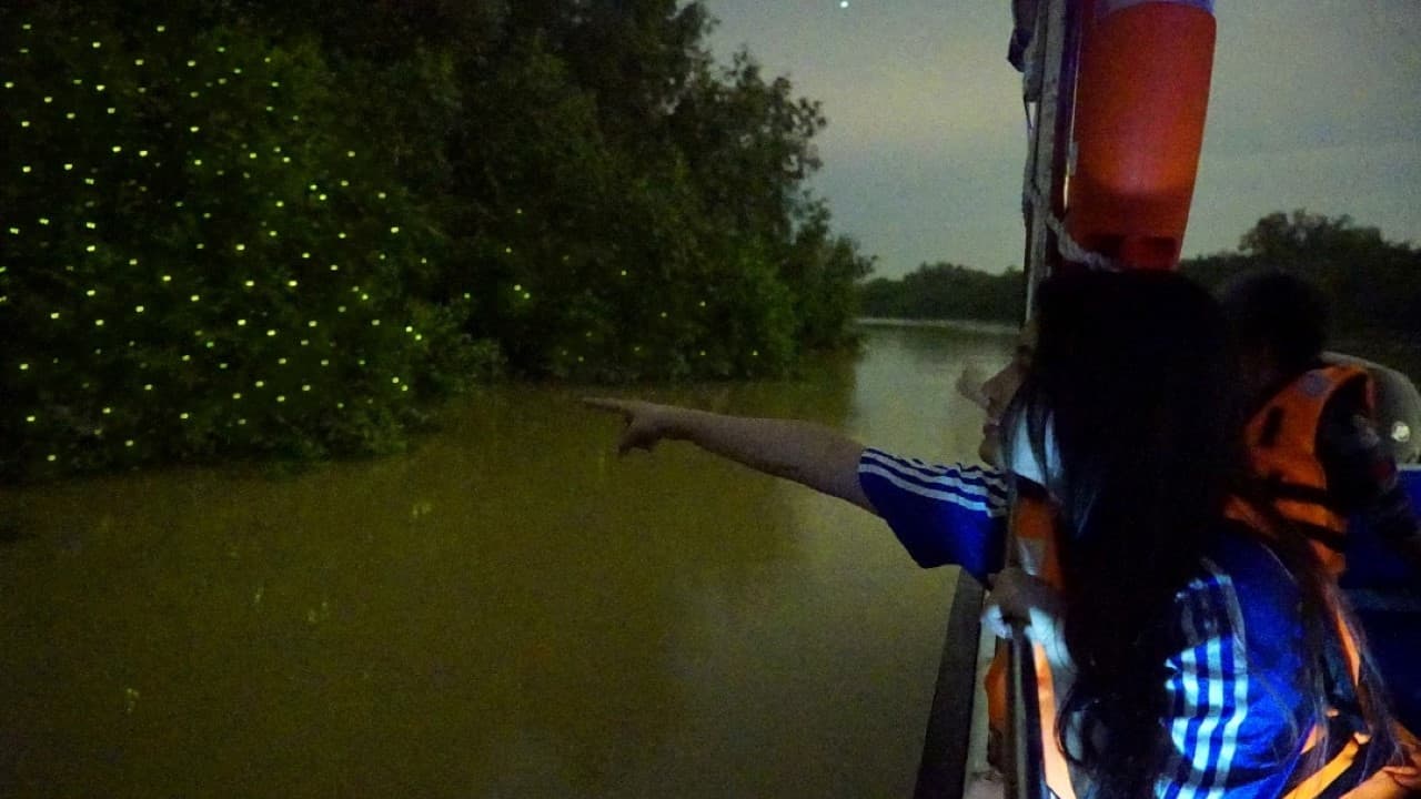 Fireflies Boat Cruise in Kuala Selangor - სურათი 2