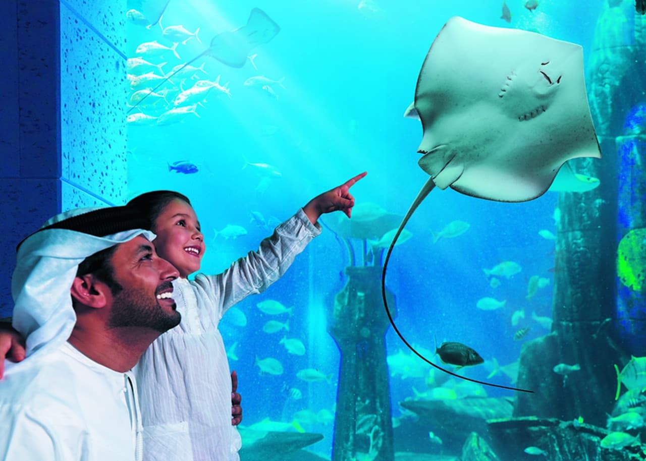 Atlantis Aquaventure World Dubai - The Lost World Aquarium Ticket - სურათი 13