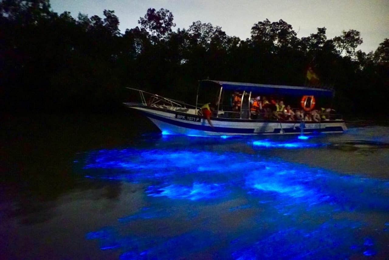 Blue Tears Boat Cruise in Kuala Selangor - მთავარი სურათი
