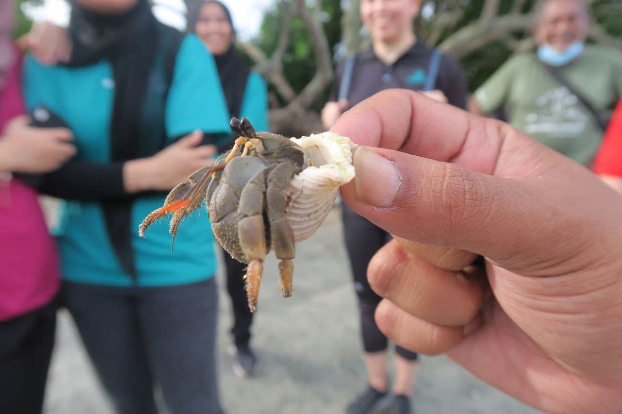 Desaru Beach and Tide Pool Walk - სურათი 5