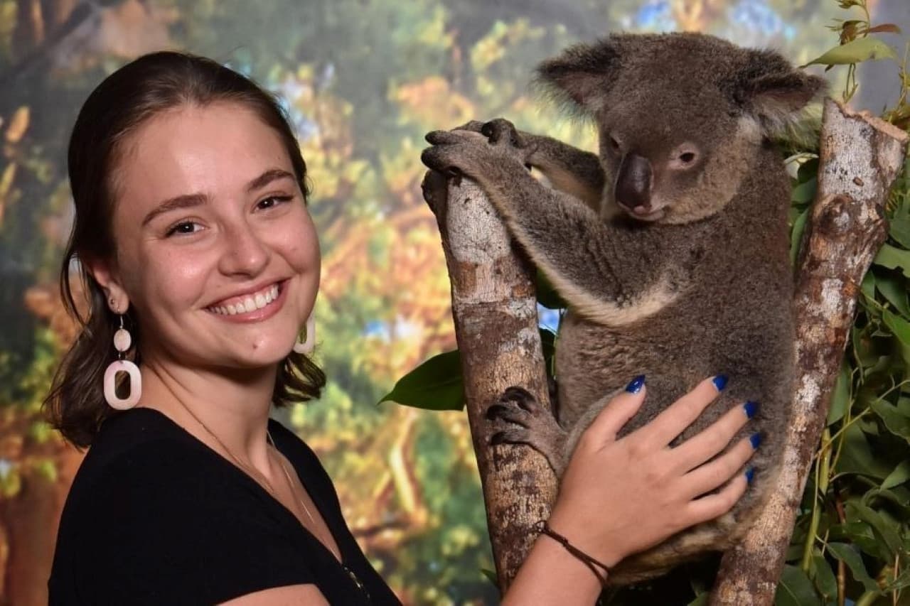 Cairns Koalas and Creatures at the Pier Ticket - მთავარი სურათი