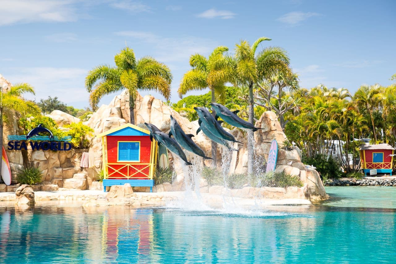Hopo Gold Coast Hop-on Hop-off Cruise - სურათი 6
