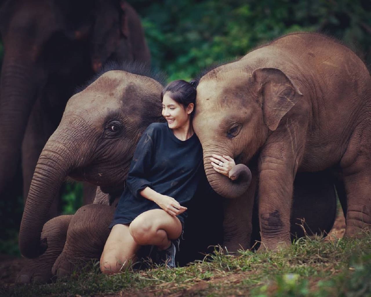 Elephant Jungle Sanctuary Chiang Mai - სურათი 8