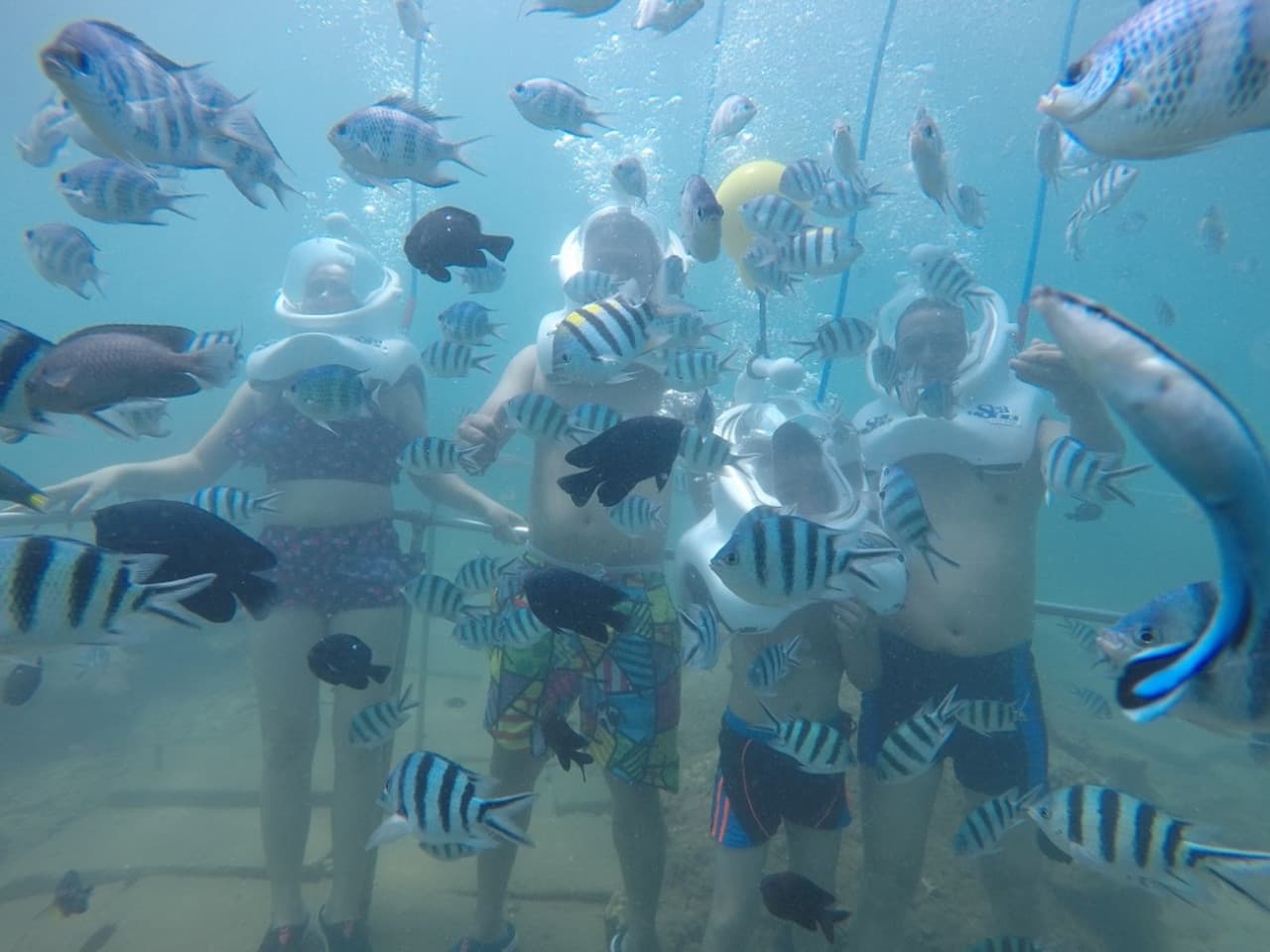 Cham Islands Underwater Walking and Snorkelling Half-Day Tour from Da Nang - სურათი 3