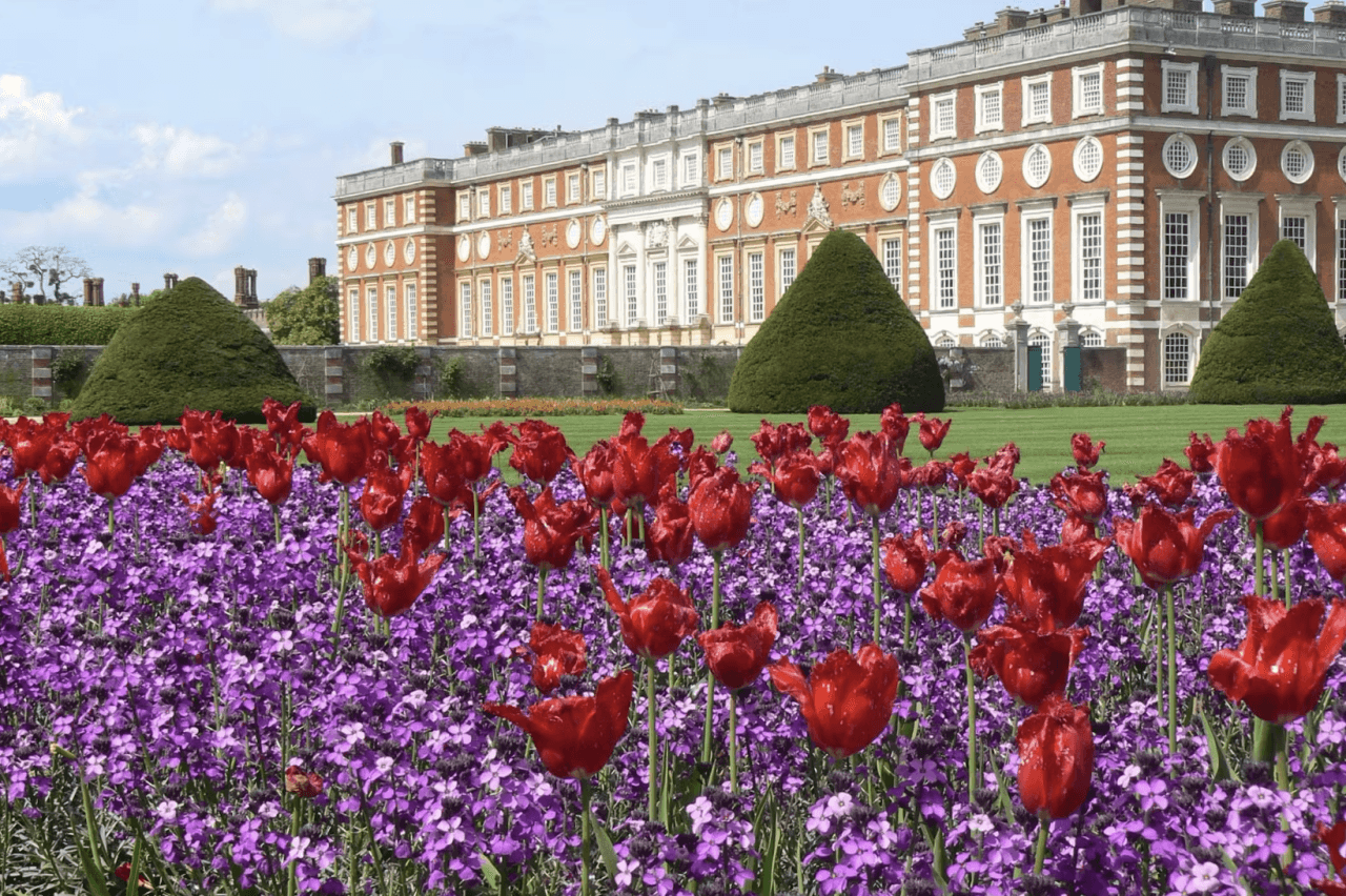 Hampton Court Palace Ticket - სურათი 6