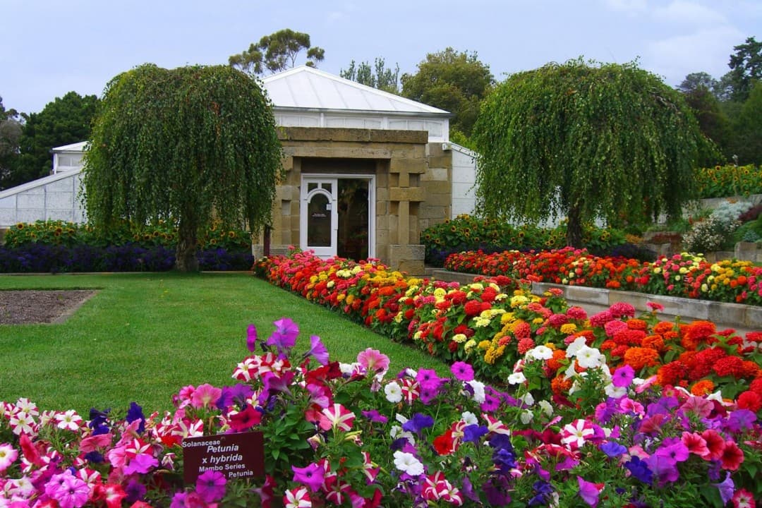 Sullivan's Cove and Hobart City Tour - სურათი 6