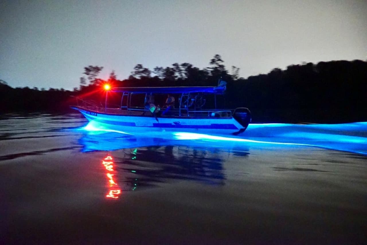 Blue Tears Boat Cruise in Kuala Selangor - სურათი 7