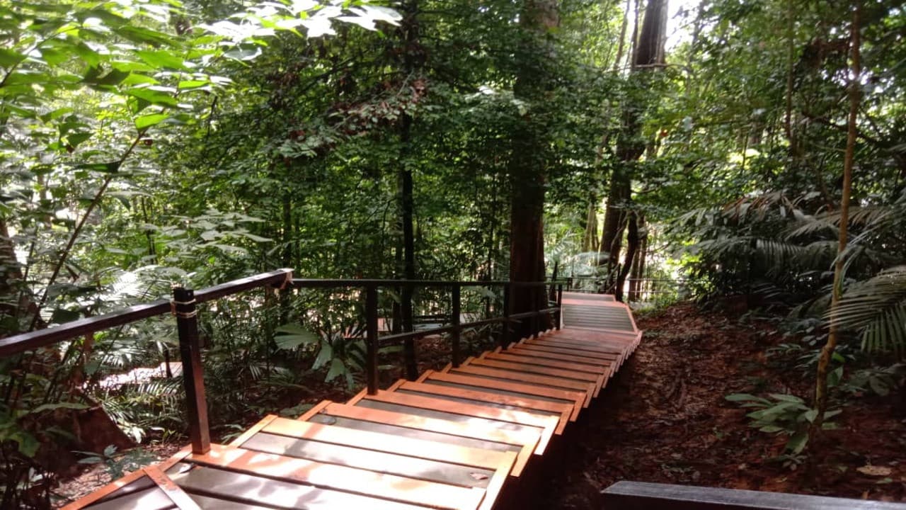 Taman Negara National Park Tour from Kuala Lumpur - სურათი 5