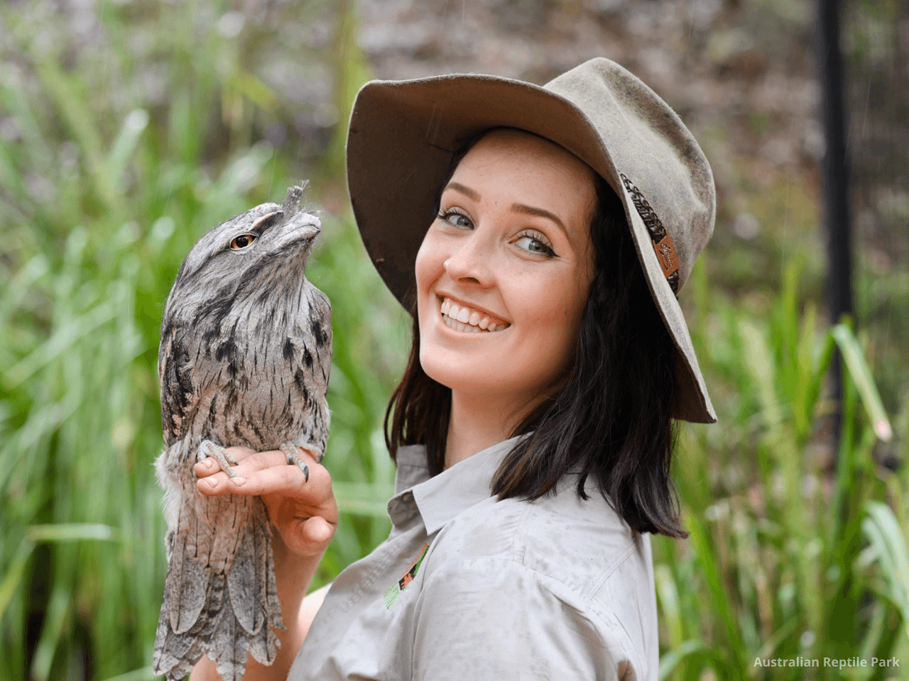 Australian Reptile Park - სურათი 41