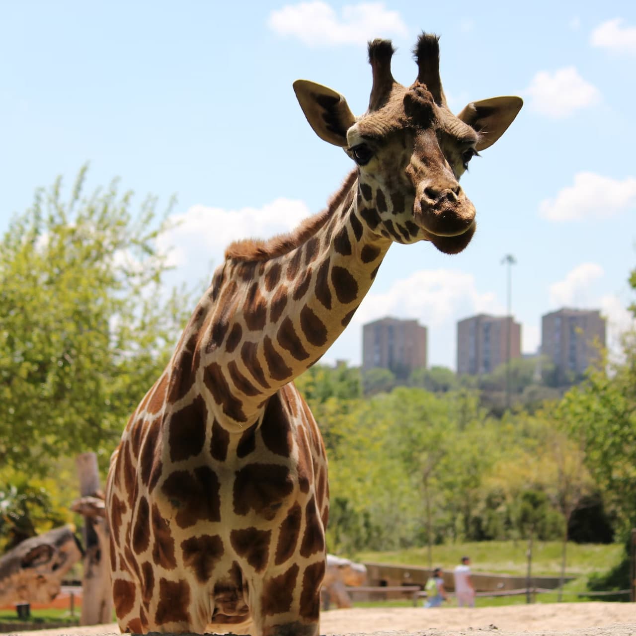 Zoo Aquarium Madrid - სურათი 2