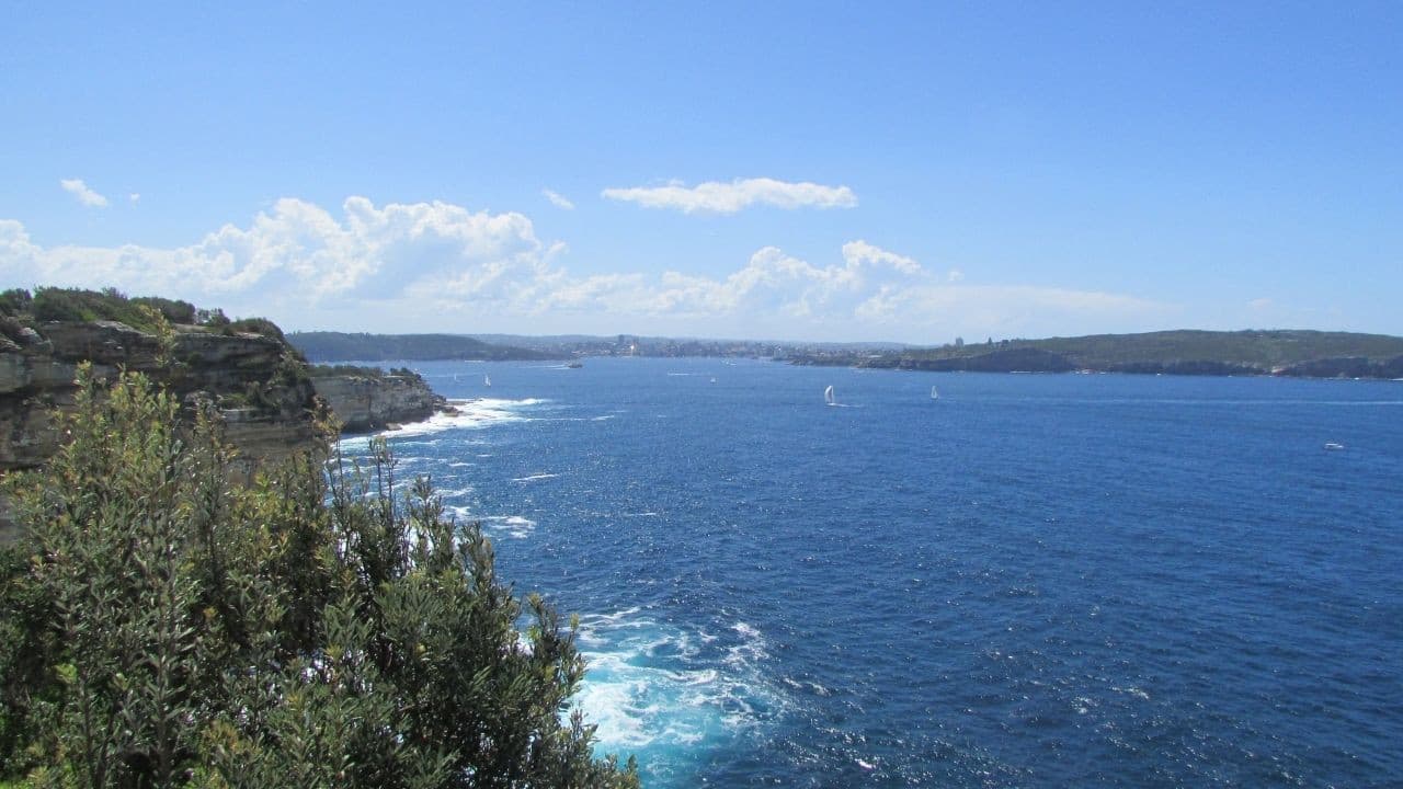 Watsons Bay Walking Tour - სურათი 5