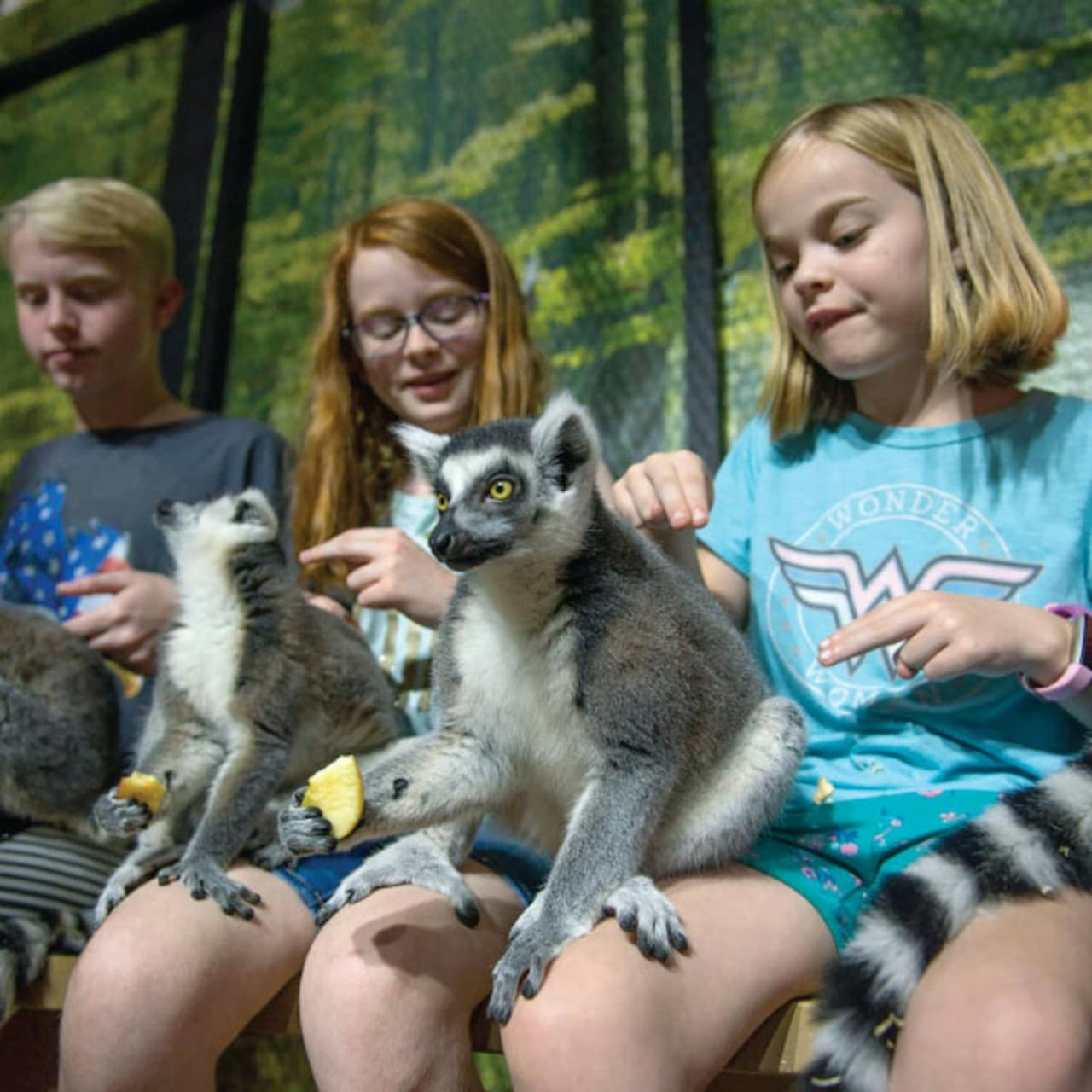 Houston Interactive Aquarium & Animal Preserve Ticket - სურათი 3