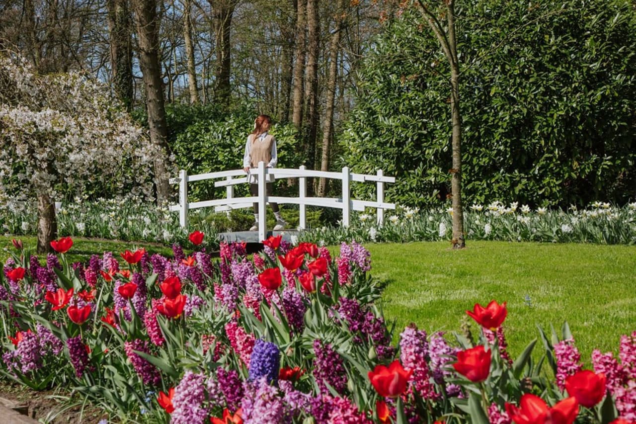 Keukenhof Gardens Ticket with Round Trip Bus Transfer from Amsterdam - სურათი 2