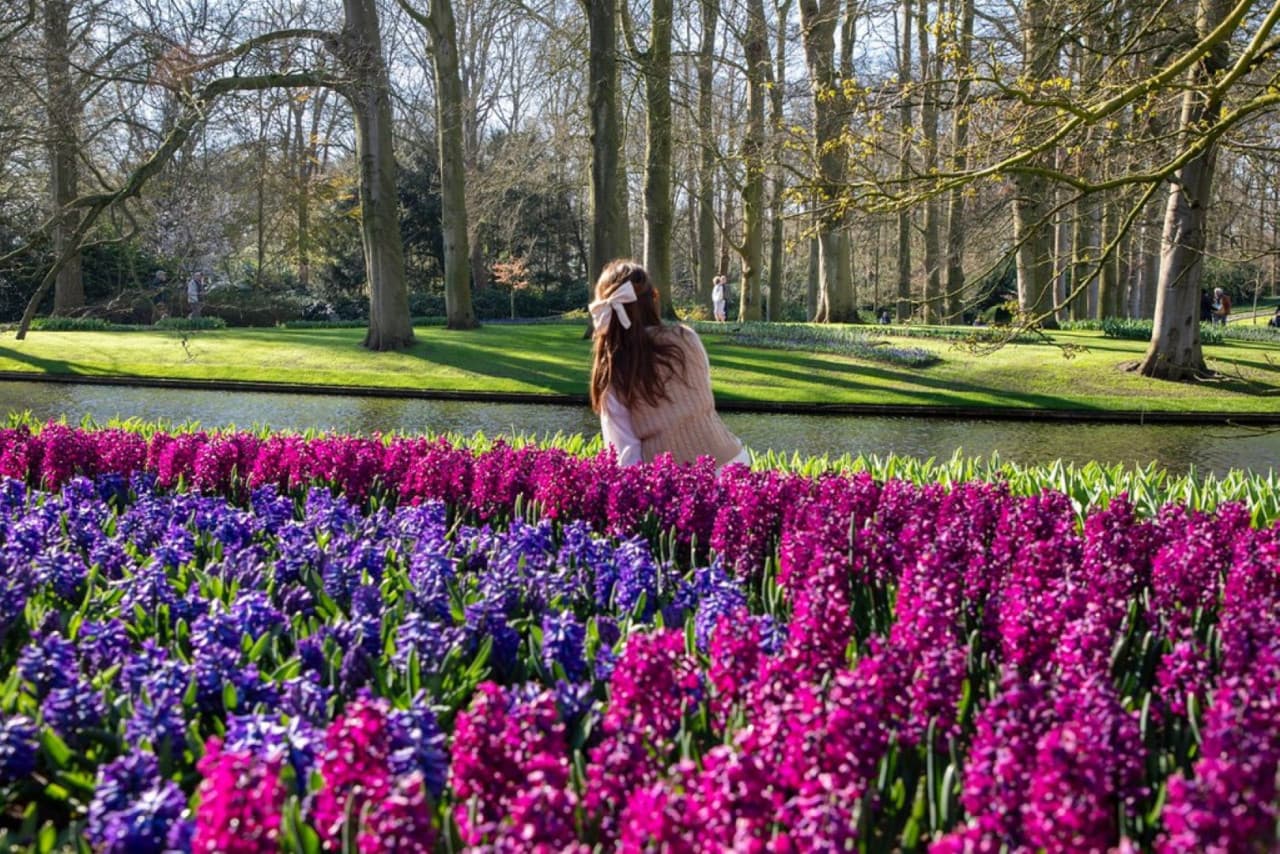 Keukenhof Gardens Ticket with Round Trip Bus Transfer from Amsterdam - სურათი 3