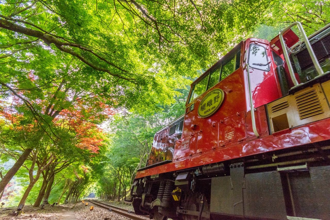 Sagano Romantic Train - სურათი 18