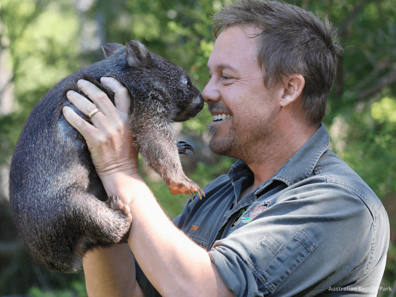 Australian Reptile Park - სურათი 46