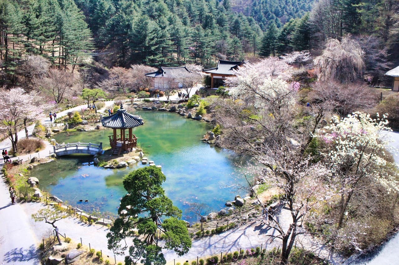 Nami Island, Mount Seorak, and Garden of Morning Calm Full-Day Tour from Seoul - სურათი 34