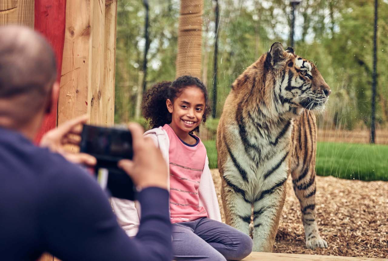 Chessington World of Adventures Ticket - სურათი 18