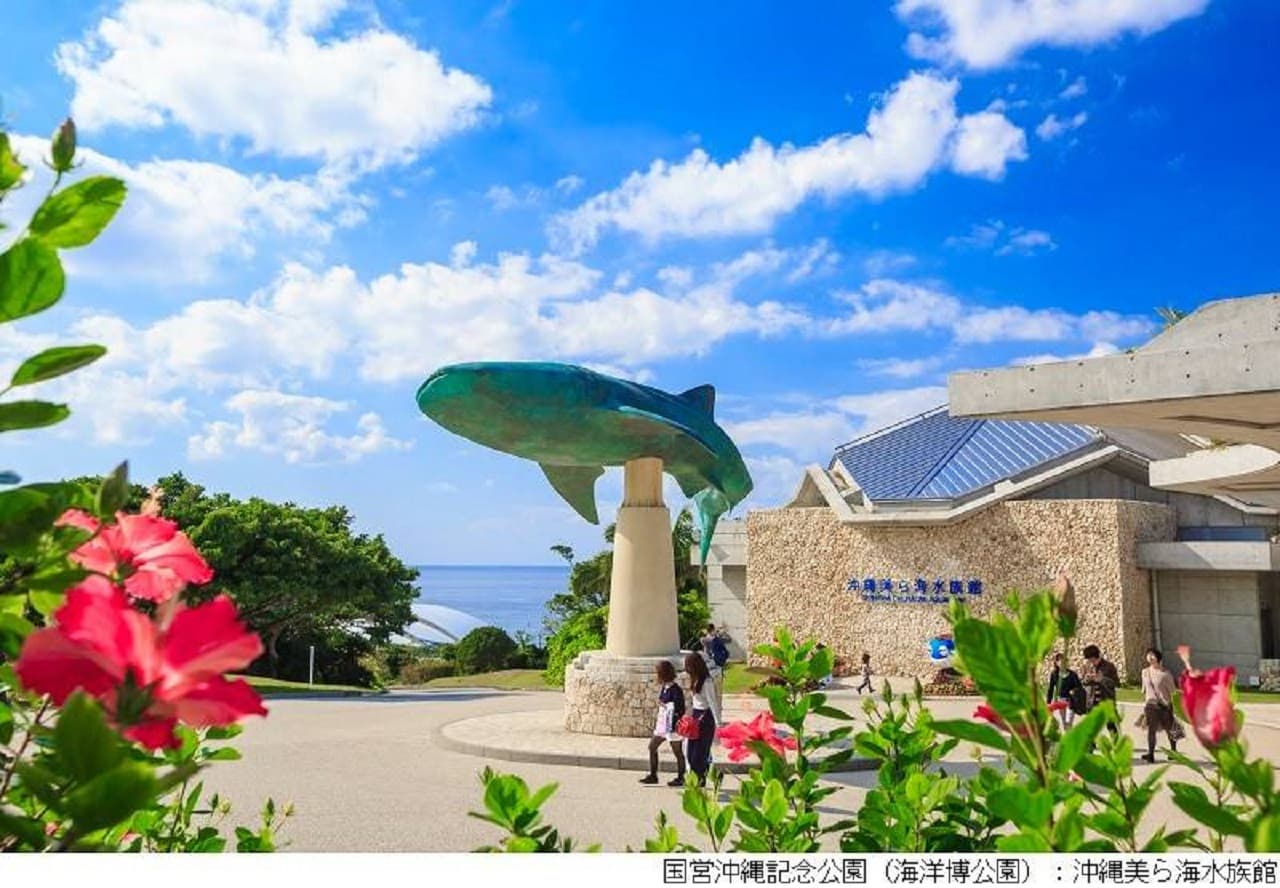 Okinawa Churaumi TokuToku 5 Pass - მთავარი სურათი
