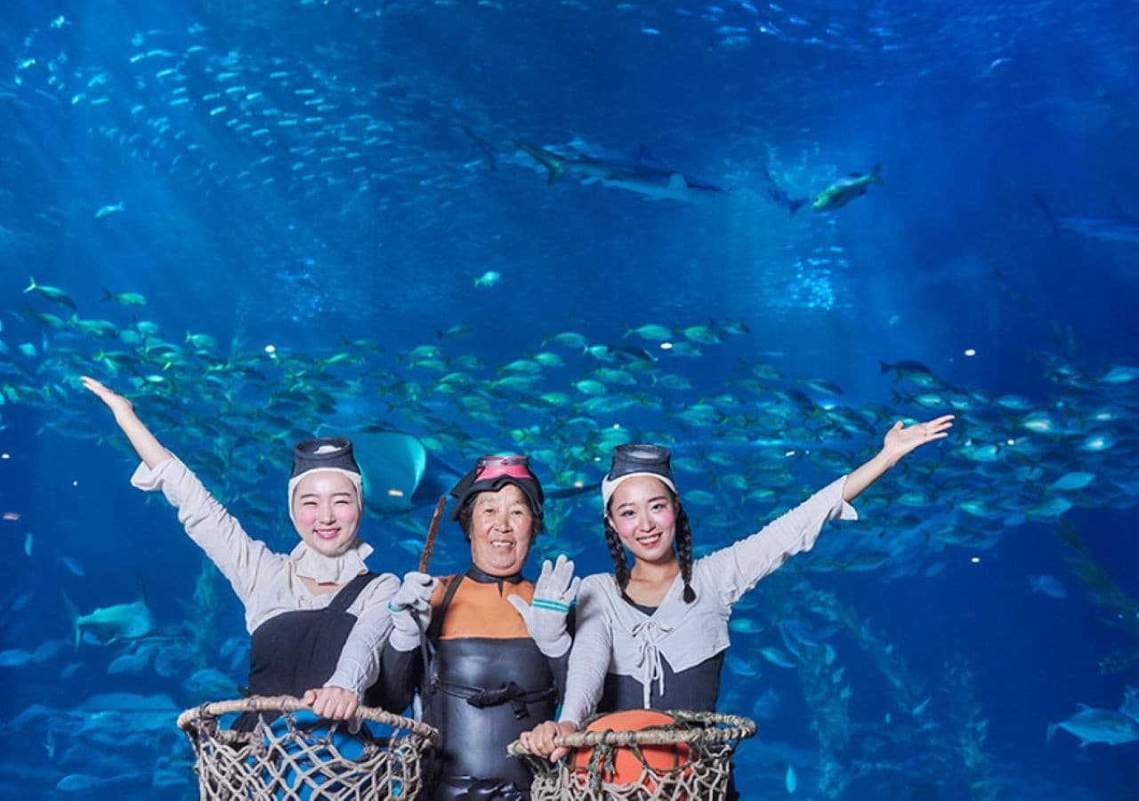 Aqua Planet Jeju Aquarium Ticket - სურათი 8