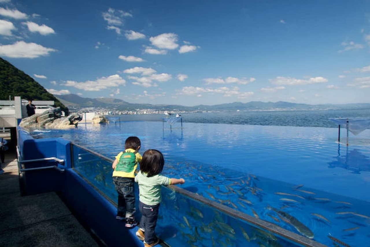 Oita Marine Palace Aquarium Umitamago Ticket - სურათი 6