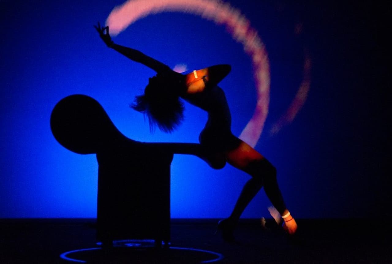 Crazy Horse Paris Show Ticket - სურათი 5