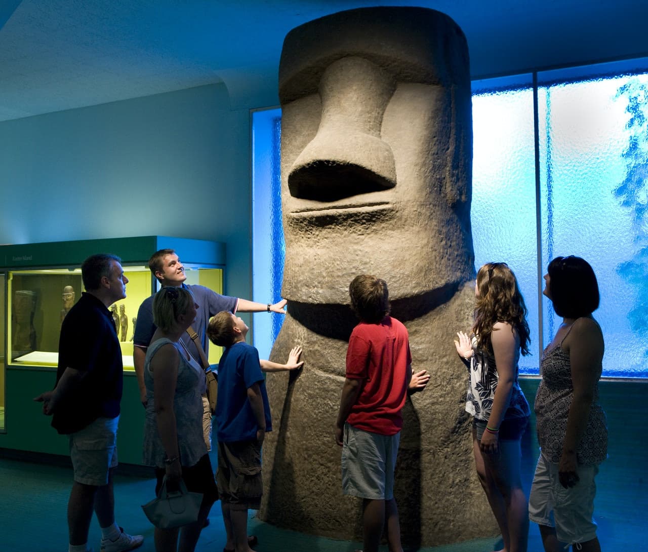 American Museum of Natural History Ticket - სურათი 7