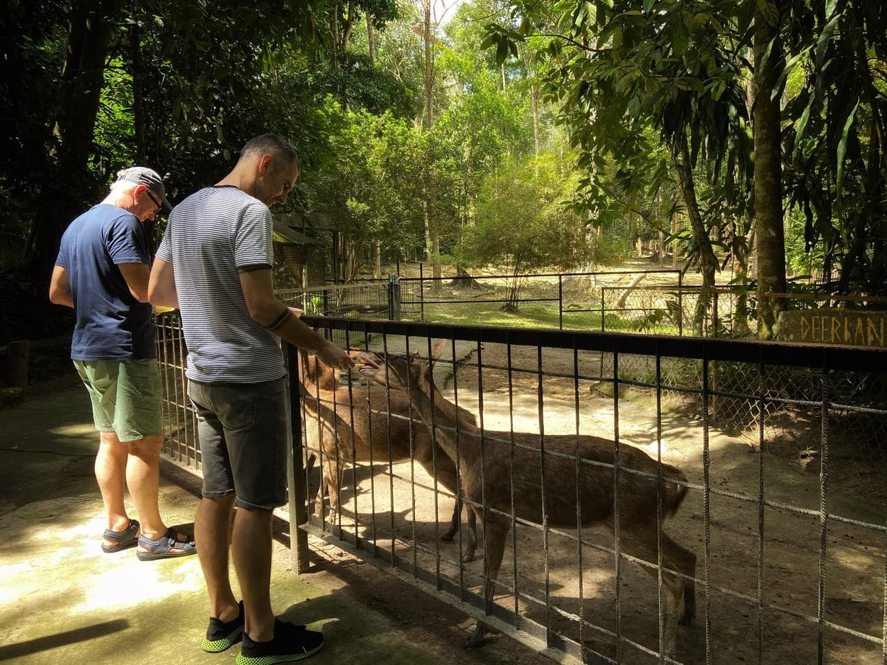 Batu Caves and Kuala Gandah Elephant Sanctuary Full-Day Tour from Kuala Lumpur - სურათი 9