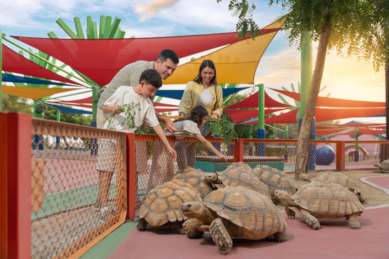 Dubai Safari Park Ticket - სურათი 13