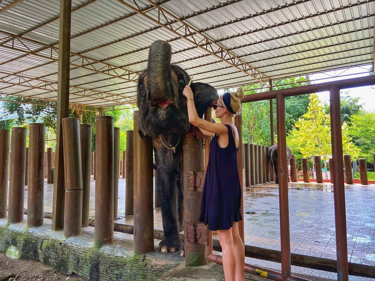 Batu Caves and Kuala Gandah Elephant Sanctuary Full-Day Tour from Kuala Lumpur - სურათი 5