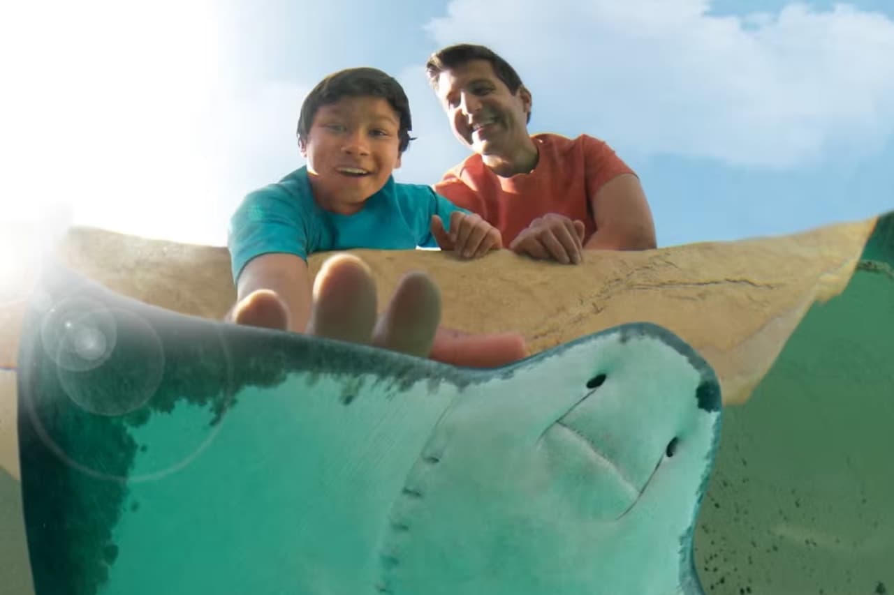 SeaWorld San Diego Ticket: Direct Entry - სურათი 14
