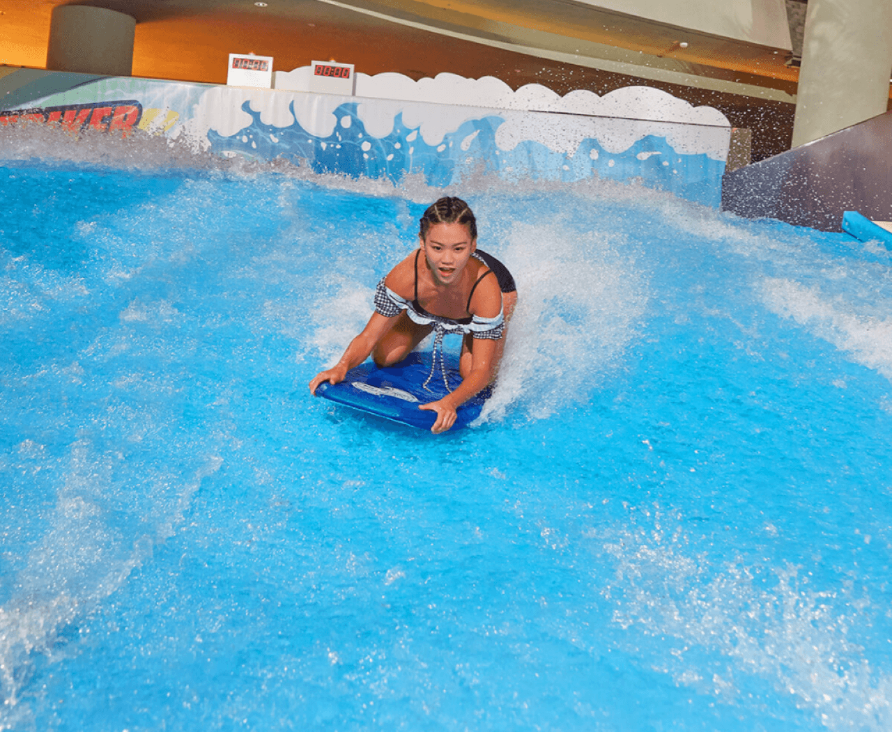 Water World Ocean Park Hong Kong Ticket - სურათი 8
