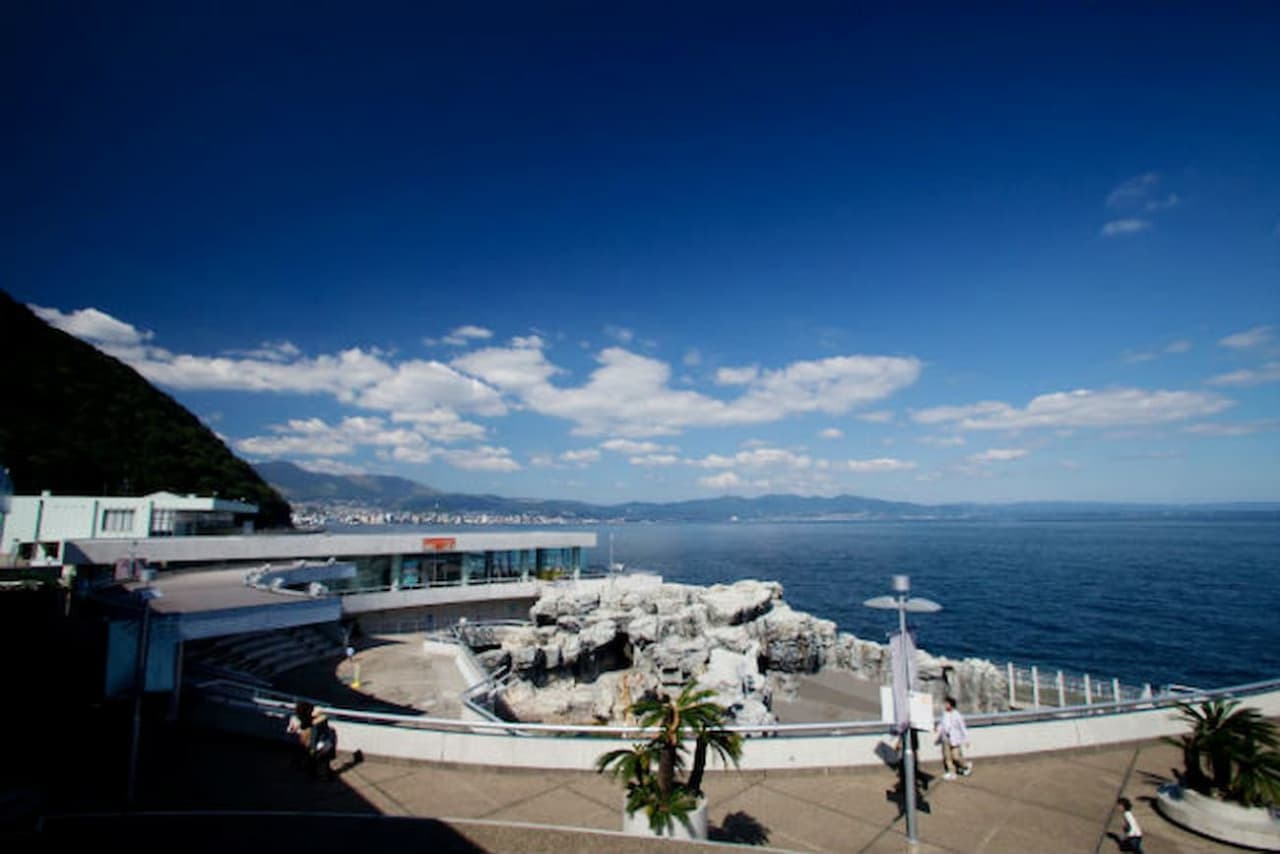 Oita Marine Palace Aquarium Umitamago Ticket - სურათი 10