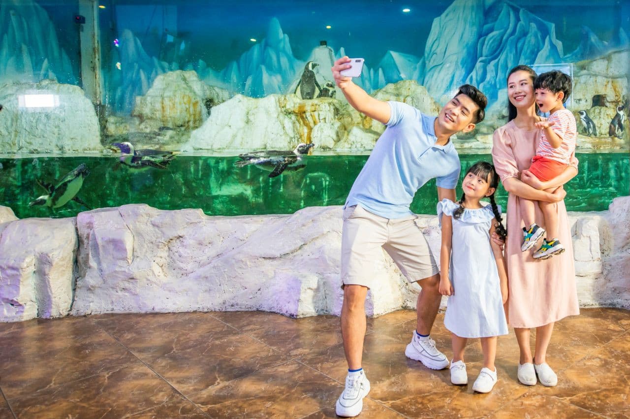 Vinpearl Aquarium Times City Hanoi Ticket - სურათი 3