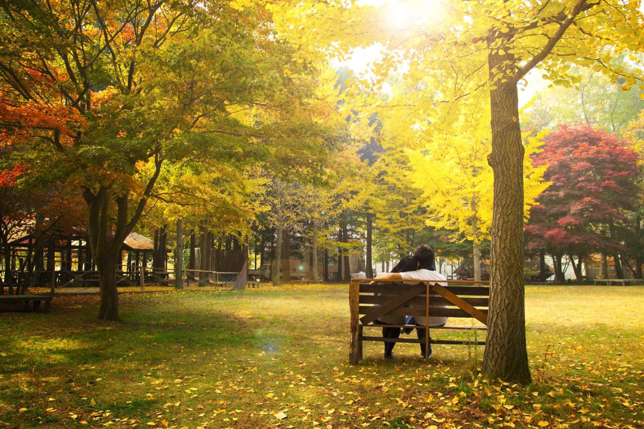 Nami Island Shuttle Bus Transfers from Seoul - სურათი 2