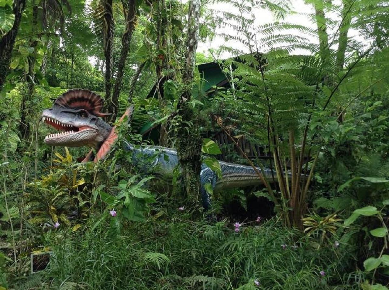 Okinawa Dino Park Yanbaru Subtropical Forest Ticket - სურათი 5