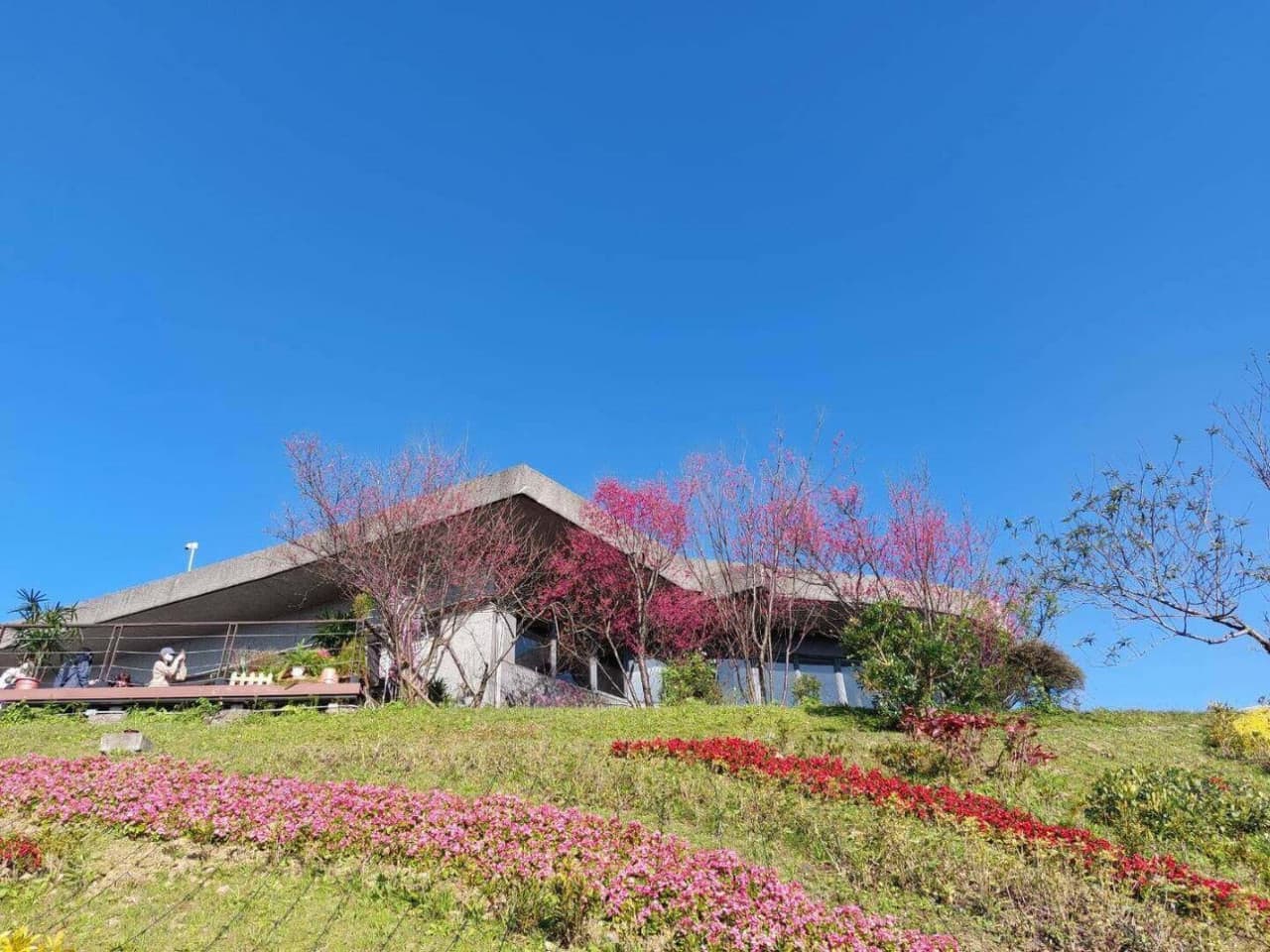 Pinglin Tea Culture and Maokong Full-Day Tour from Taipei - სურათი 6