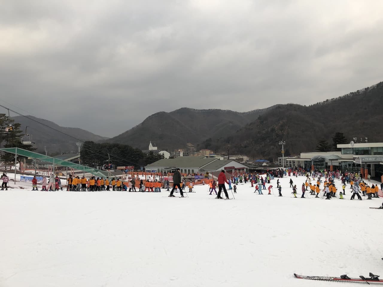 Jisan Forest Ski Resort Full-Day Tour from Seoul - სურათი 6