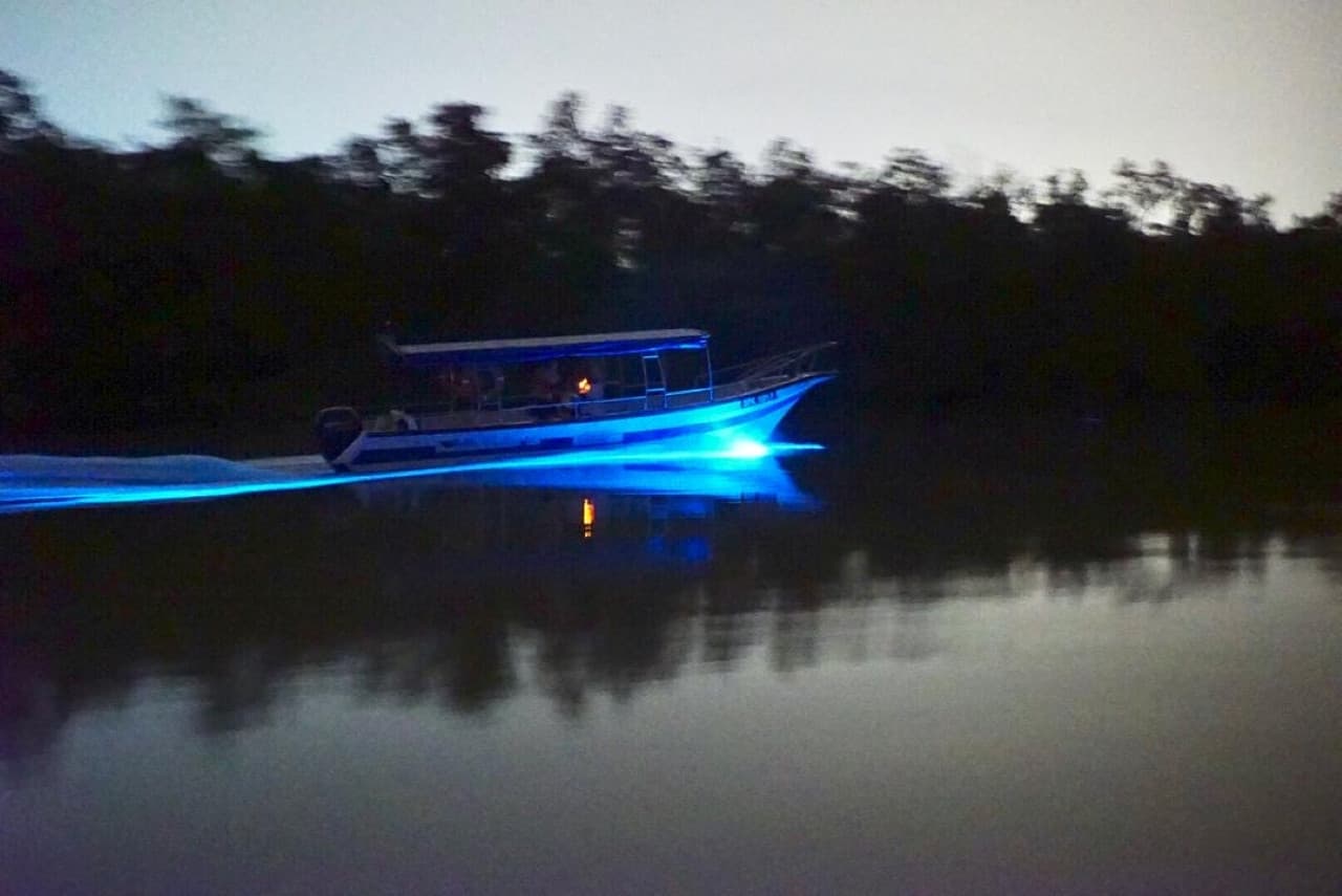 Blue Tears Boat Cruise in Kuala Selangor - სურათი 4