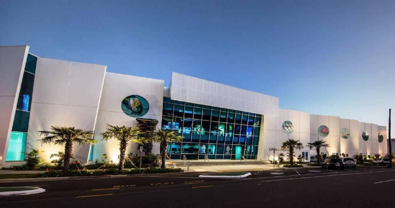 Cairns Aquarium Ticket - სურათი 7
