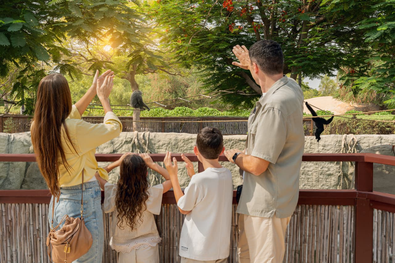 Dubai Safari Park Ticket - მთავარი სურათი