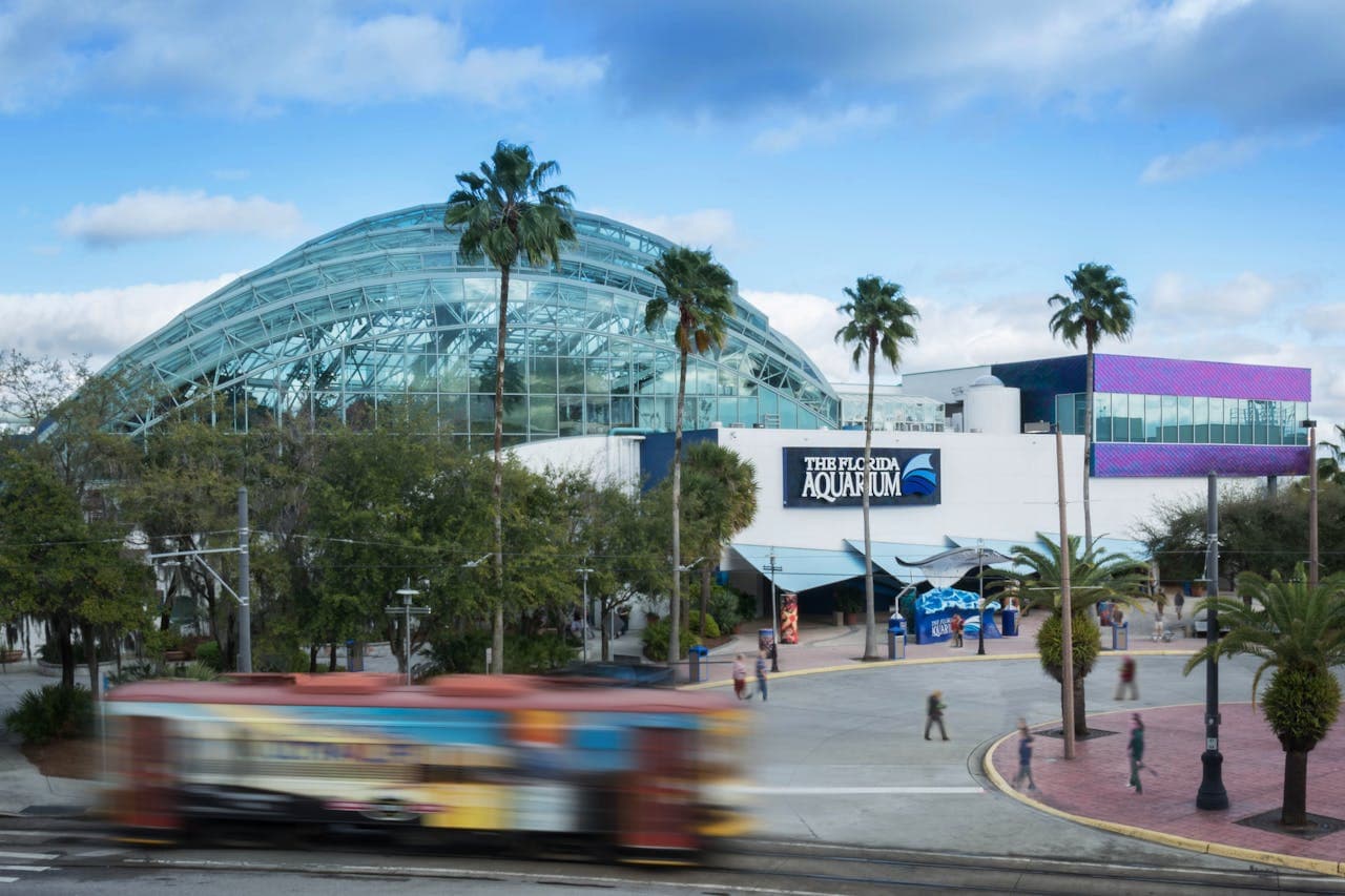 The Florida Aquarium Ticket - მთავარი სურათი
