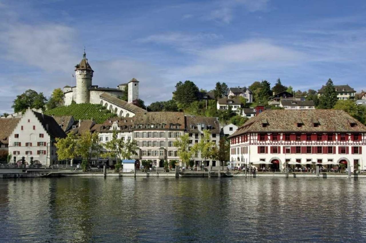 Rhine Falls Tour from Zurich - სურათი 4