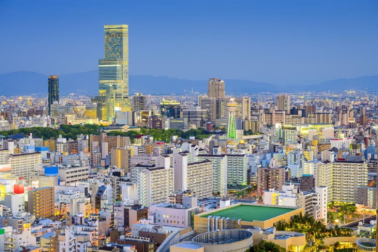 Osaka Sky Vista or Nani Wonder Sightseeing Bus Tour - სურათი 11