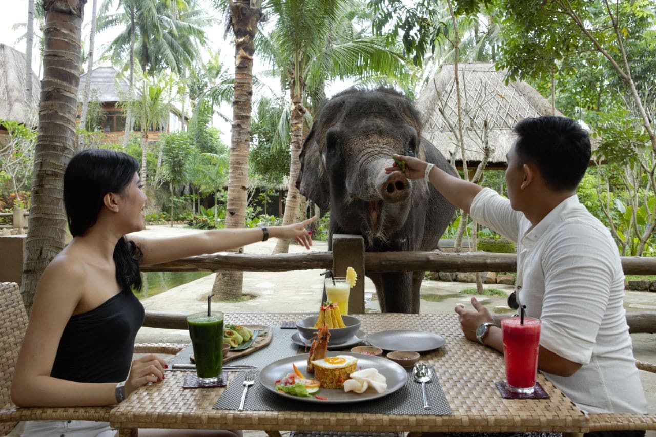 Lombok Wildlife Park Elephant Bath Experience - სურათი 2
