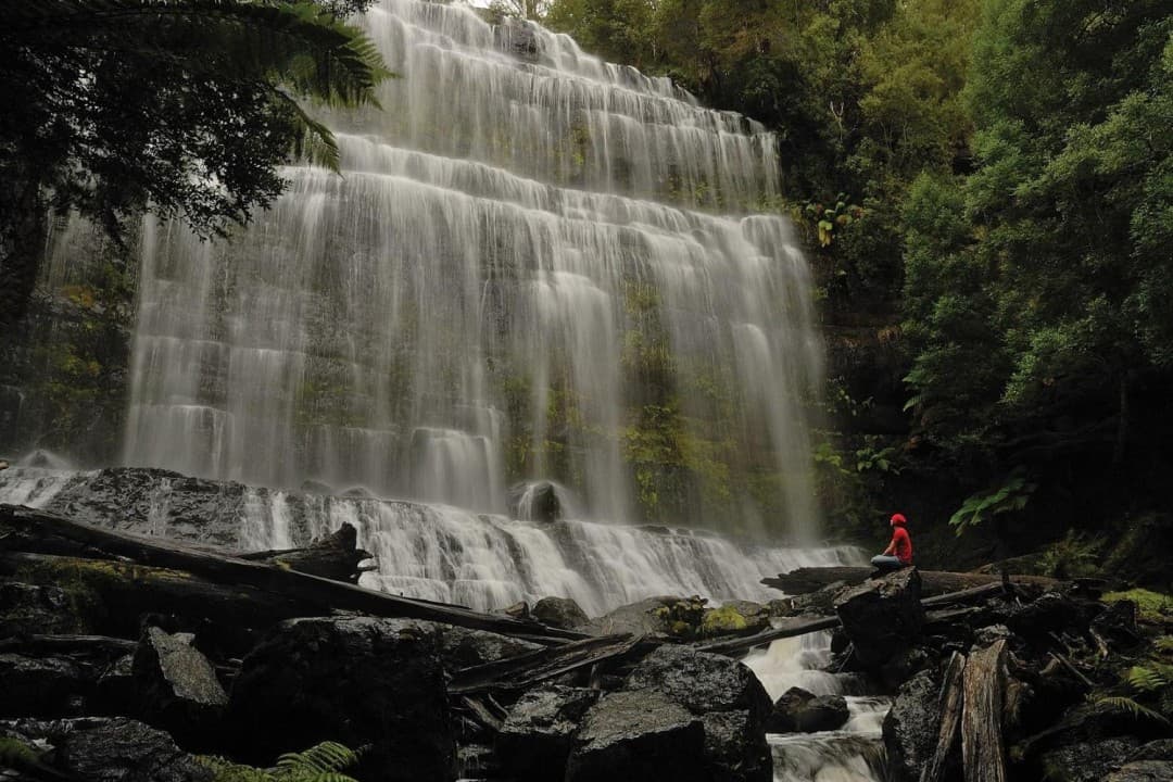 Russell Falls Tour from Hobart - სურათი 8