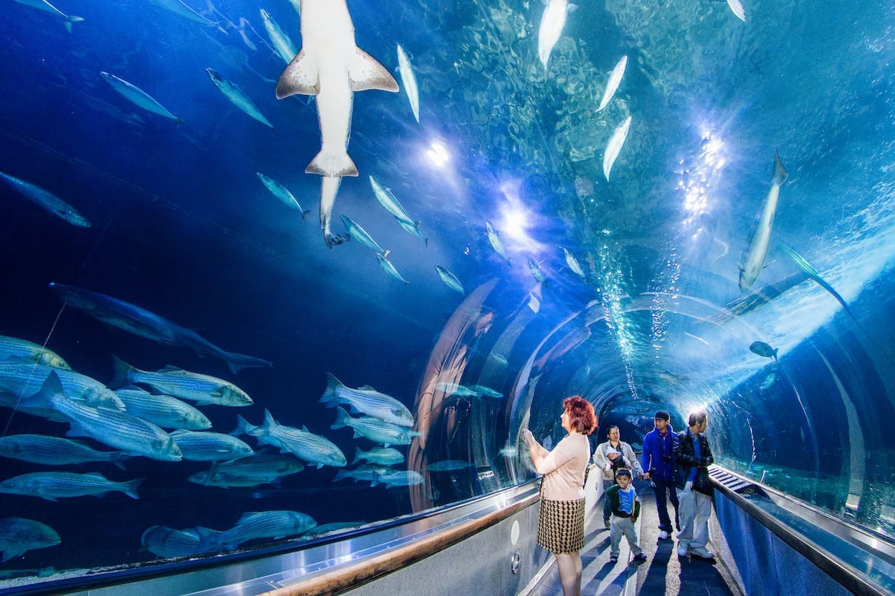 San Francisco CityPASS: Admission to 4 Top Attractions - სურათი 3
