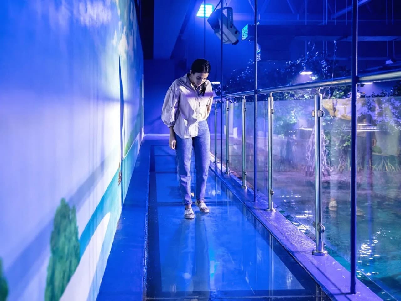 The National Aquarium Abu Dhabi Ticket - სურათი 10