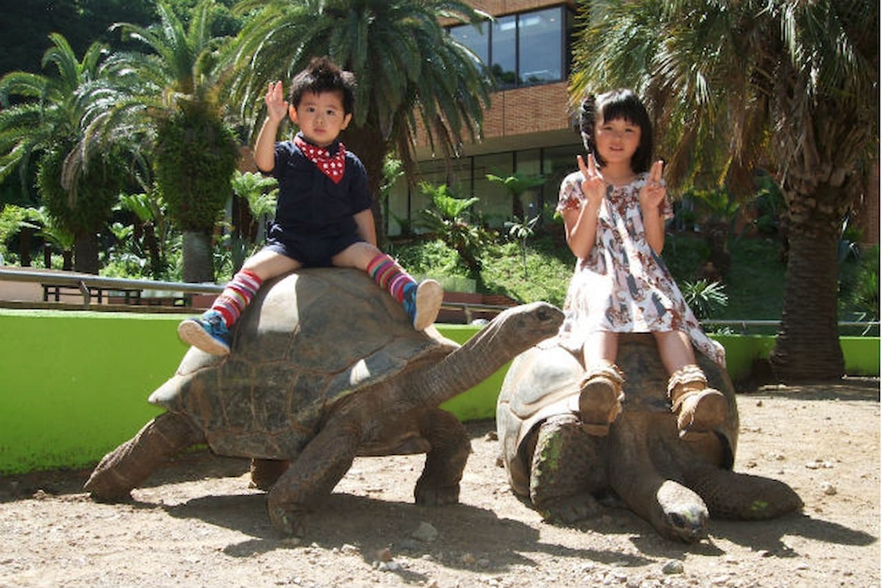 iZoo Sensory Zoo Ticket - სურათი 3